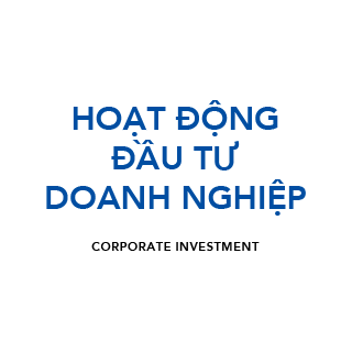 HOẠT ĐỘNG ĐẦU TƯ DOANH NGHIỆP